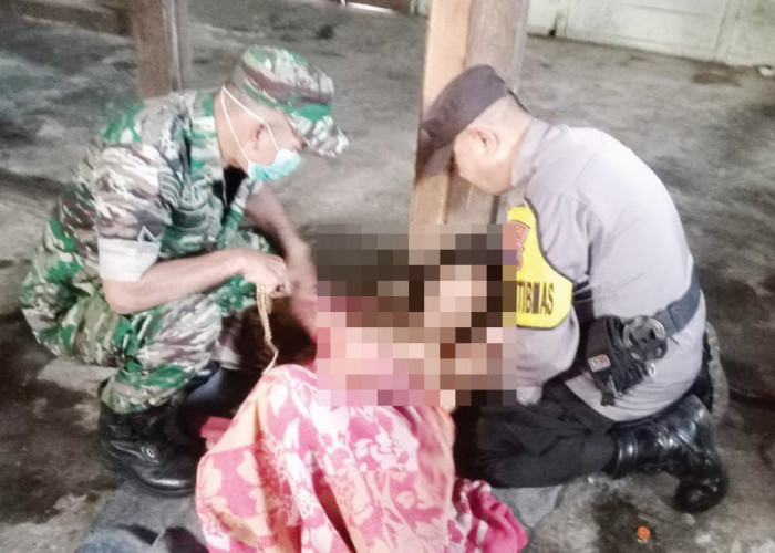 Mogok Minum Obat, ODGJ Di Wonosobo Ngamuk Saat Dirujuk ke RSJ Magelang 