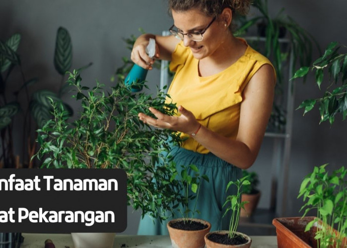 5 Tanaman yang Wajib Ditanam di Pekarangan Rumah karena Tidak Hanya Cantik Tapi juga Menyehatkan