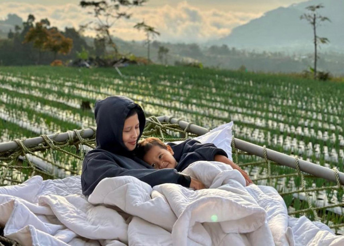 Pemandangan memukau dari salah satu kamar Silancur Glamping