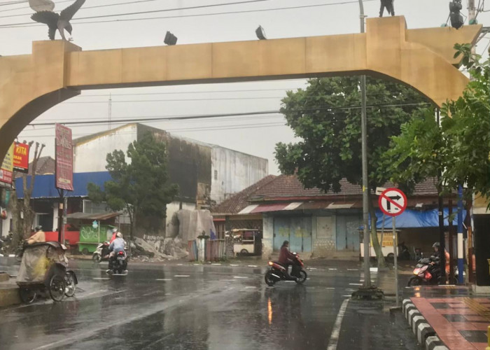Membahayakan!, Rambu Jalan Depan Gapura Kampus Untidar Magelang Sering Dilanggar Pengendara