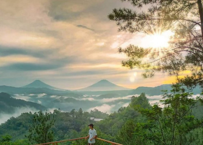 Pemandangan dari Bukit Petulu Indah