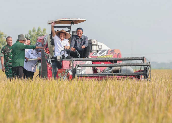 Produksi Padi Jateng Tembus 6,69 Juta Ton, Ahmad Luthfi Minta Bupati Petakan Potensi Kekeringan