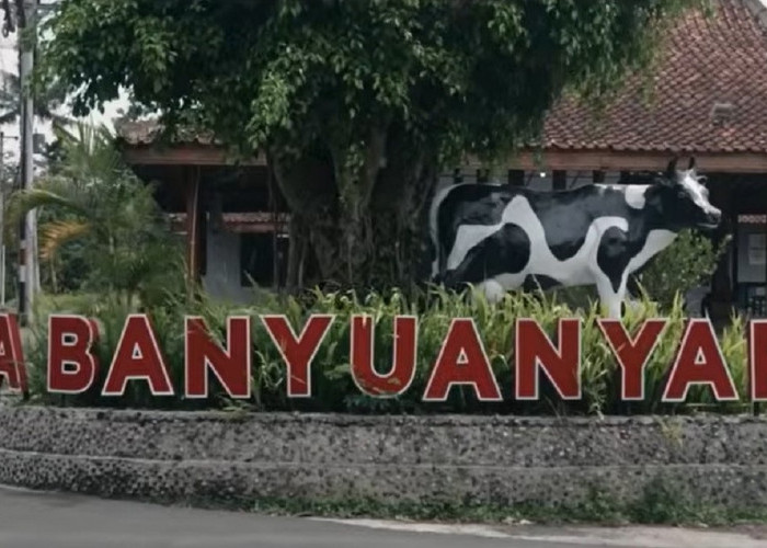 Intip Kisah Desa Banyuanyar, Desa Ramah Lingkungan yang Terus Maju Lewat Pemberdayaan Desa BRILiaN