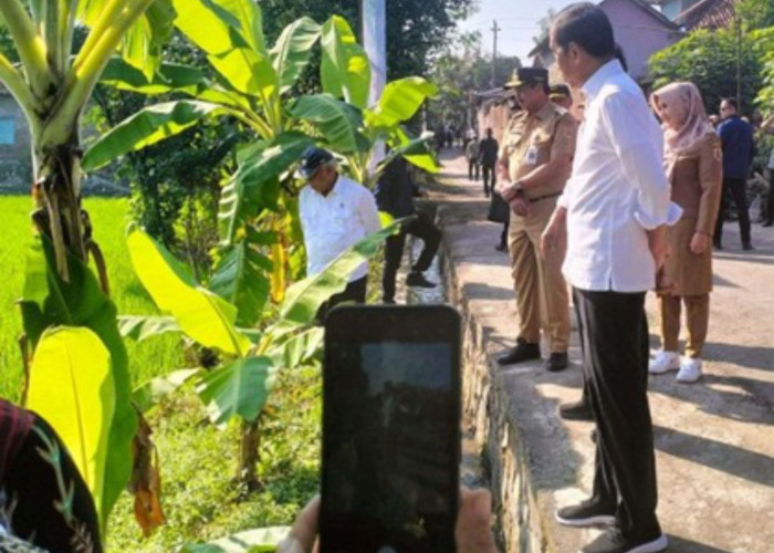 Presiden Jokowi meninjau pemanfaatan pompa untuk lahan sawah di Desa Tumpukan, Kecamatan Karangdowo, Kabupaten Klaten, Jawa Tengah