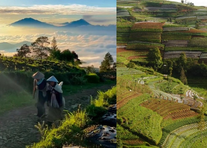 Spot Foto Cantik dari Dusun Prampelan Magelang yang Suguhkan View Gunung Sumbing Menawan