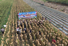 Kapolres Purworejo Instruksikan 16 Polsek Dampingi Petani, Perkuat Kemandirian Pangan