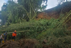Tebing 15 Meter Longsor di Candiroto Temanggung, Irigasi dan Saluran Air Bersih Terdampak