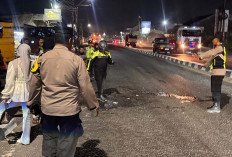 Tabrak Lari di Salam Jalan Magelang-Jogja, Gadis 19 Tahun Tewas Terserempet Truk