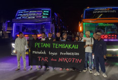 Ratusan Petani Tembakau Temanggung Ancam Bermalam di Kemenkes, Tolak Aturan Tar dan Nikotin