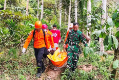 Pamit Cari Rumput, Warga Kaliwiro Wonosobo Tewas Jatuh ke Tebing 30 Meter