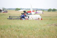 Indonesia - Australia Perkuat Kemitraan Strategis Sektor Pertanian