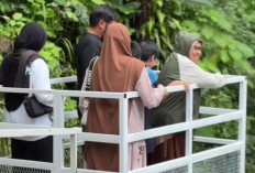 Telaga Menjer Wujudkan Wisata Ramah Disabilitas Hingga Lansia Melalui Wisata Terbaru Ini