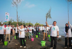 Cegah Abrasi dan Rob, Jateng Tanam 92 Ribu Mangrove di 16 Daerah Pesisir