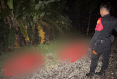 Insiden Maut di Jalur Rel Kutoarjo, Dua Warga Purworejo Tewas Tertemper Kereta Api