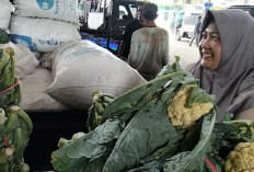 Harga Pakcoy Anjlok Rp500 di Pasar Sewukan Magelang, Kembang Kol Justru Meroket Tajam
