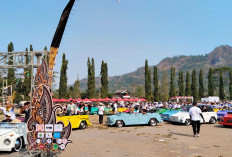 Bupati Magelang Dorong Parade VW Safari Borobudur Jadi Agenda Wisata Tahunan