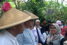 Wamendagri Minta Pemda Tak Asal Usulkan Renovasi RTLH Tanpa Analisa Administrasi dan Risiko Bencana