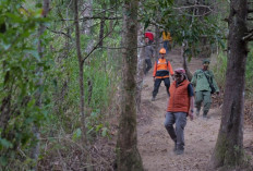 Bupati Temanggung Tinjau Karhutla Sumbing, Perhutani Pastikan Api Padam