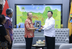 Atasi Banjir Rob, Pembangunan Giant Sea Wall di Jateng Akan Capai 274,7 Km