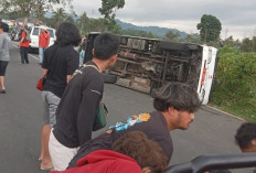 Mobil Relawan Asal Magelang Terlibat Kecelakaan Saat Hendak Pulang Usai 10 Hari di Gunung Slamet