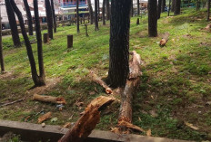 Gunung Tidar Magelang Dibuka Secara Tentatif, Sewaktu-waktu Akan Ditutup Bila Cuaca Buruk