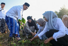 Taj Yasin Ajak Santri Tanam Mangrove di Rembang, Bangun Kepedulian Lingkungan Sejak Dini