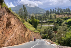 Pemkab Wonosobo Tutup Sementara Jalur Viral Lingkar Sumbing
