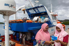 Miliki Satelit Sendiri, Layanan Perbankan BRI Mampu Jangkau Plosok Negeri dan Wilayah 3T