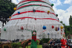 Pohon Natal Raksasa di Alun-alun Kota Magelang Habiskan 35 Kg Tali Rafia