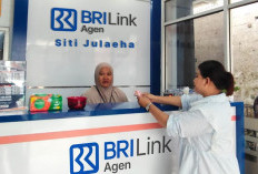 Intip Kisah Siti Julaeha Perempuan yang Sukses Kembangkan Usaha Sambil Mengurus Rumah Tangga