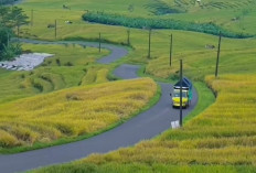 Sisi Lain Banjarnegara, Rest Area Kalibombong Punya Pesona Alam Ala di Luar Negeri