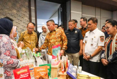 Ahmad Luthfi Targetkan 4,2 Juta UMKM Jateng Naik Kelas hingga Tembus Pasar Ekspor