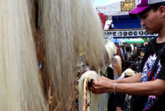 Tradisi Mepe Jaran Kepang di Temanggung Tetap Lestari, Warga Desa Ketitang Jaga Warisan Budaya Leluhur