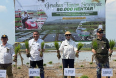 Kementan Genjot Tanam Oplah dan CSR untuk Perkuat Ketahanan Pangan
