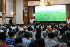 Mentan Amran Dorong Implementasi Pertanian Modern PM-AAS, Pendapatan Petani Naik Tiga Kali Lipat