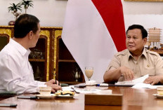 Hadapi El Nino Godzilla, Pemerintah Pastikan Kesiapan Cadangan Pangan dan Infrastruktur Pertanian Nasional