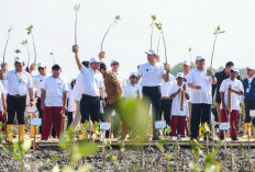 Desa Timbulsloko Demak Jadi Percontohan Perlindungan Pesisir Pantura Berbasis Alam