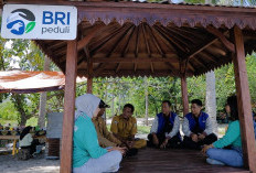 Dari Potensi Lokal ke Prestasi Nasional, Desa BRILiaN Sausu Tambu Perkuat Ekonomi Pesisir