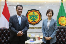 Stok Nasional Tembus 5,1 Juta Ton, Mentan Amran Tawarkan Ekspor 10 Ribu Ton Beras ke Singapura