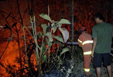 Kawasan Gunung Tugel Kutoarjo Kebakaran, Api Menjalar Dekati Area Makam Cina