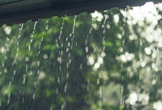 Hujan Disertai Angin Terjang Ketep Pass, Cuaca di Kabupaten Magelang Masih Belum Stabil