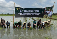 Perkuat Produksi Nasional, Brigade Pangan Cilacap Lakukan Tanam Serempak