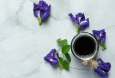Olahan Bunga Telang yang Dijamin Nikmat dan Gampang Dibuat