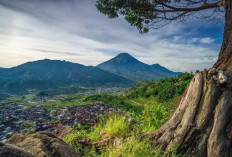 5 Wisata Wonosobo yang Ramai Dikunjungi Saat Libur Lebaran
