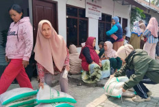 Bulog Kebut Penyaluran 30 Kg Beras Bansos untuk Ratusan Ribu Warga Magelang