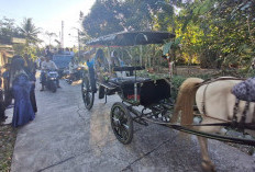 Meriah, Warga Cangkrepkidul Arak Pasangan Haji Keliling Kampung Naik Kereta Kuda di Purworejo
