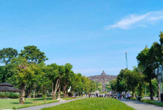 Tak Sekadar Naik Candi, Borobudur Siapkan Atraksi Seru Ini Selama Libur Sekolah