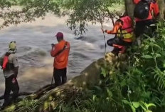 Remaja Hanyut di Sungai Progo Temanggung Belum Ditemukan, Pencarian Hari Ketiga Libatkan 140 Personel