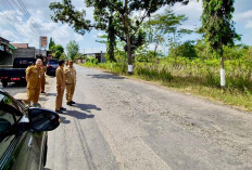 Perbaikan Jalan Perbatasan Wonogiri Digenjot, Anggaran Naik Empat Kali Lipat Jadi Rp 42 Miliar
