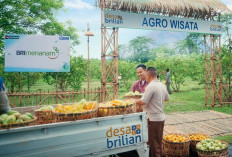 Jangkau 5.245 Desa BRILiaN, BRI Perluas Dukungan bagi Pengembangan Ekonomi Desa